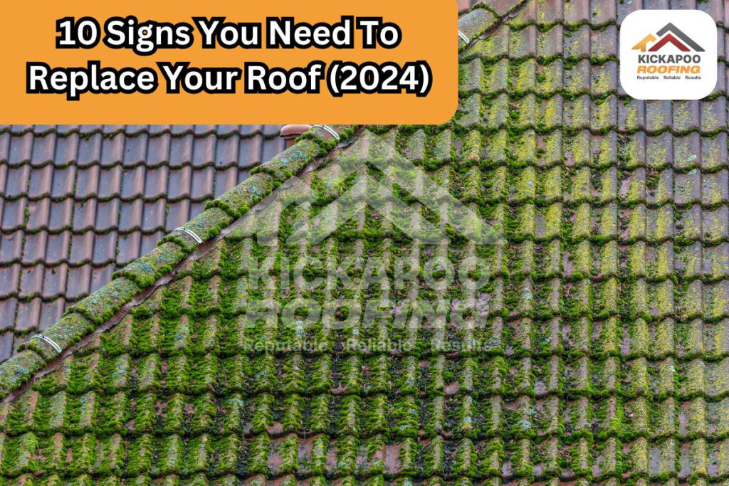 Roof algae