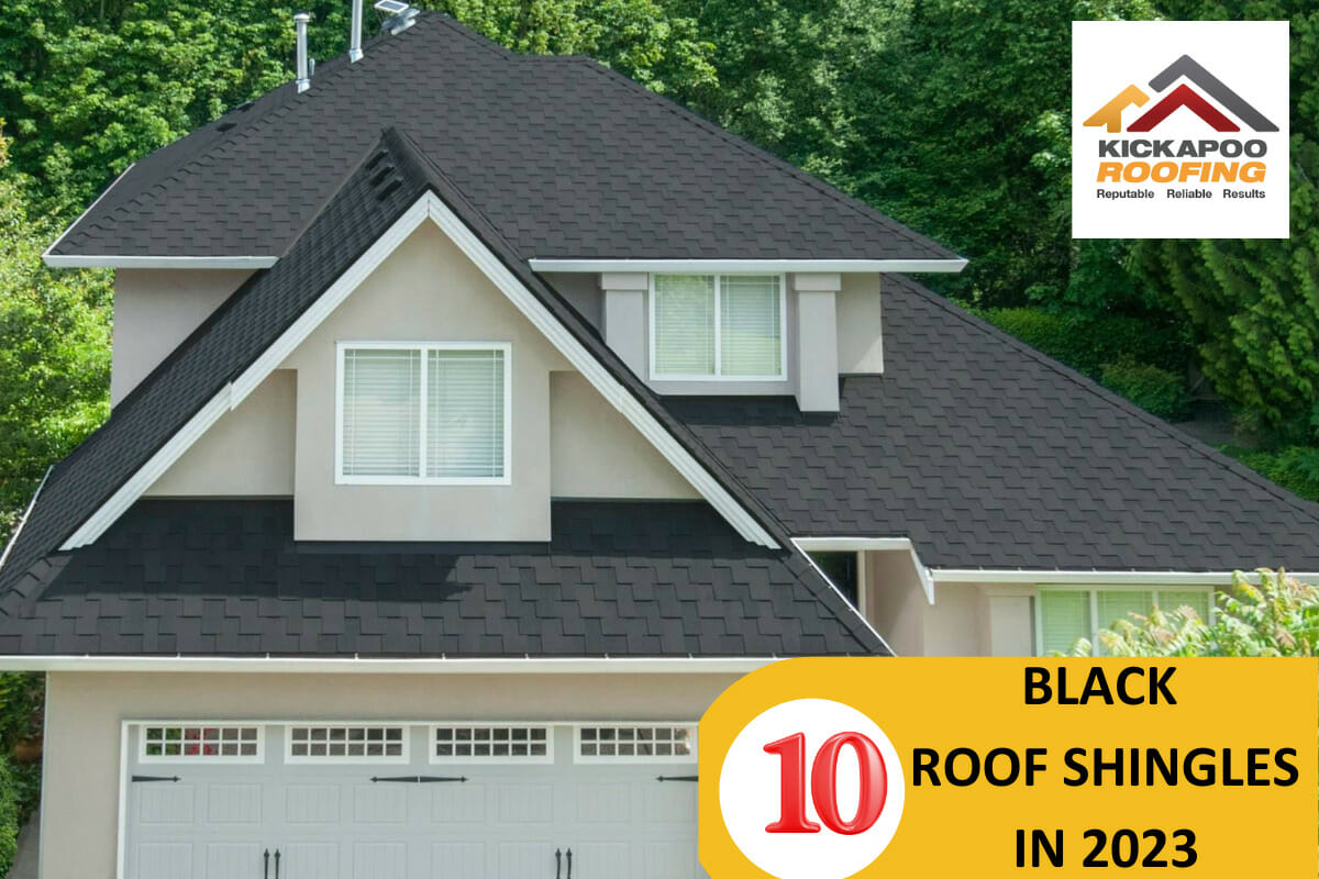 10 Black Roof Shingles To Make Your Roof Stand Out In 2024