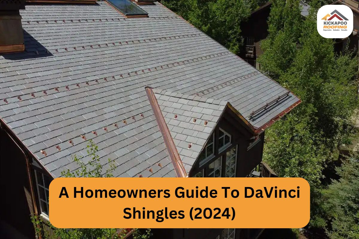 DaVinci shingles