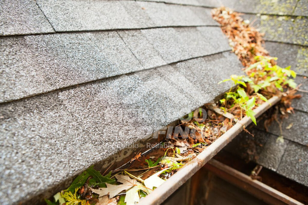 Clogged gutters