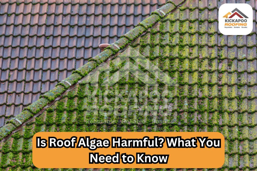 Roof algae