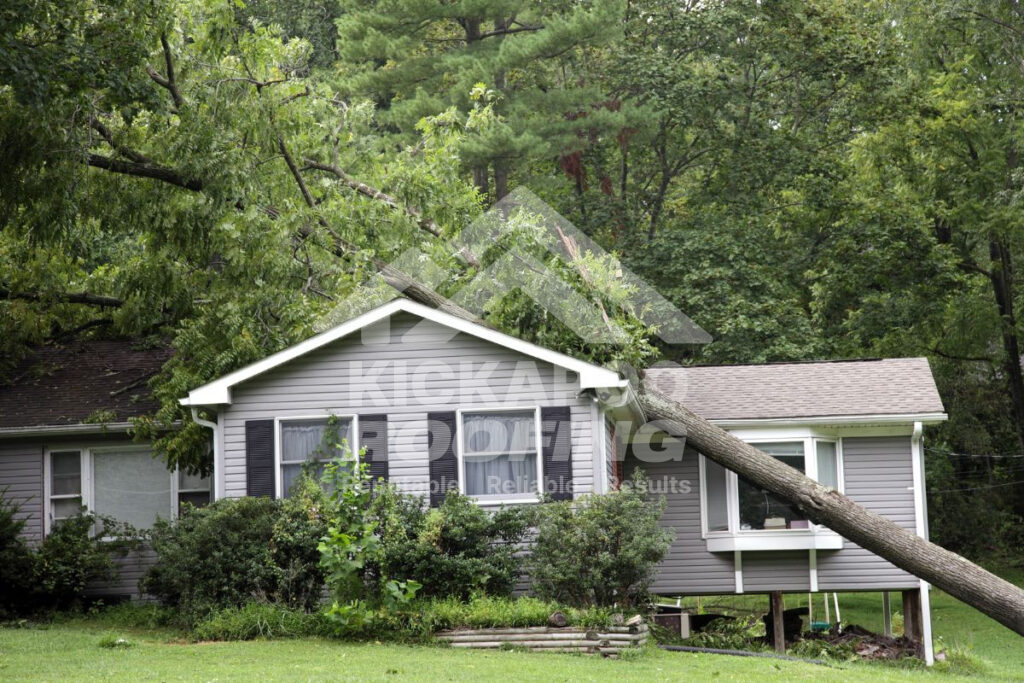 Roof tree damage