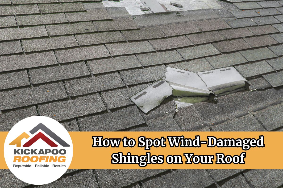 wind damage shingles