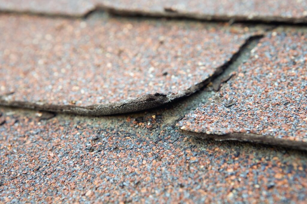 Lifting and curling shingles